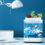 Mini Fish Tank USB Charging Self-cleaning Aquarium with 7 Colors LED Light