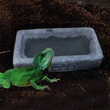 Reptile Feeding Bowl Food Water Dish