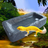 Reptile Feeding Bowl Food Water Dish