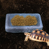 Reptile Feeding Bowl Food Water Dish