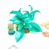 Artificial Water Grass Fish Tank Aquarium Reptile Cage Plastic Plant Decoration