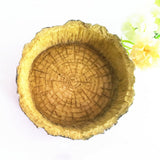 Aquarium Reptile Turtle Basking Feeding Bowl Platform Floating Fish Tank Decor