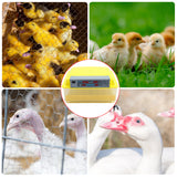 56 Automatic Egg Incubator Digital Hatching Poultry Chicken Temperature Control US/EU/UK Plug 