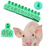 100Pc Set Green Animals Cattle Goat Pig Sheep Use Ear Number Tag Livestock Tags Labels 