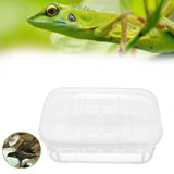 12 Reptiles Eggs Incubator Tray Gecko Snake Bird Amphibians Hatching Case Breeding Tools Box