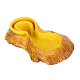 Automatic Water Feeder Drinking Bowl Reptile Amphibians Tortoise Water Basin 