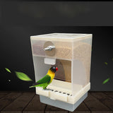 425ml/850ml Capacity Acrylic Parrot Automatic Bird Feeder Feeding Box
