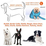 Pet Grooming Dog Blow Drying Machine