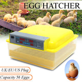 56 Automatic Egg Incubator Digital Hatching Poultry Chicken Temperature Control US/EU/UK Plug 