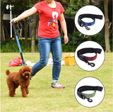Nylon Reflective Pet  Leash Dog Cat Traction Rope Lead Leash and Collar 