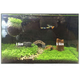 Aquarium Plant Seeds Glossostigma Hemianthus Water Green Grass Fish Tank Decor