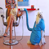 Pet Grooming Dog Blow Drying Machine