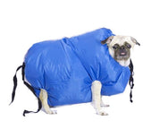 Pet Grooming Dog Blow Drying Machine