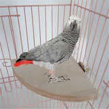 Wooden Coin Bird Cage Perch Stand Platform Hanging Toy 