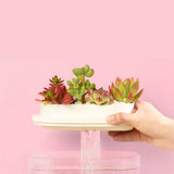 Mini Fish Tank USB Charging Self-cleaning Aquarium with 7 Colors LED Light