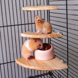 Wooden Coin Bird Cage Perch Stand Platform Hanging Toy 