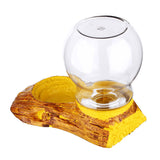 Automatic Water Feeder Drinking Bowl Reptile Amphibians Tortoise Water Basin 