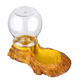 Automatic Water Feeder Drinking Bowl Reptile Amphibians Tortoise Water Basin 